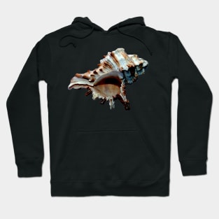 Dark grand conch seashell Hoodie